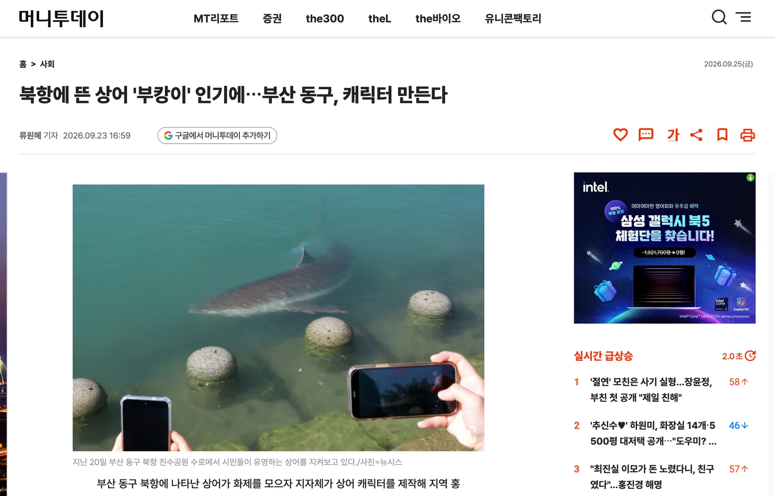 머니투데이 기사 화면, 북항에 뜬 상어 부캉이 인기에 부산 동구가 캐릭터를 만든다는 9월 23일 보도