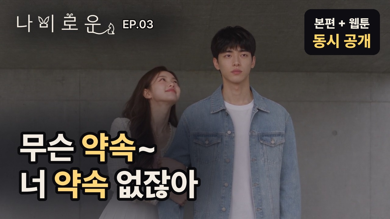 나비로운 3화 영상
